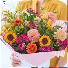 Large Dahlia Hand-tied