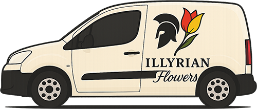 Illyrian Flowers Hammersmith